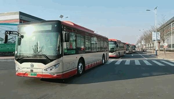 渤海之滨的智慧画卷，天津的古今交融之美