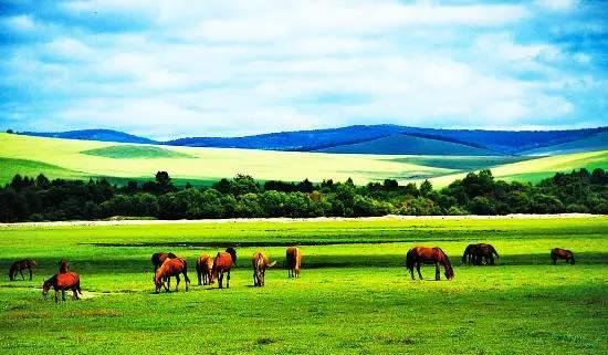 内蒙古绿色发展赋能乡村振兴新篇章