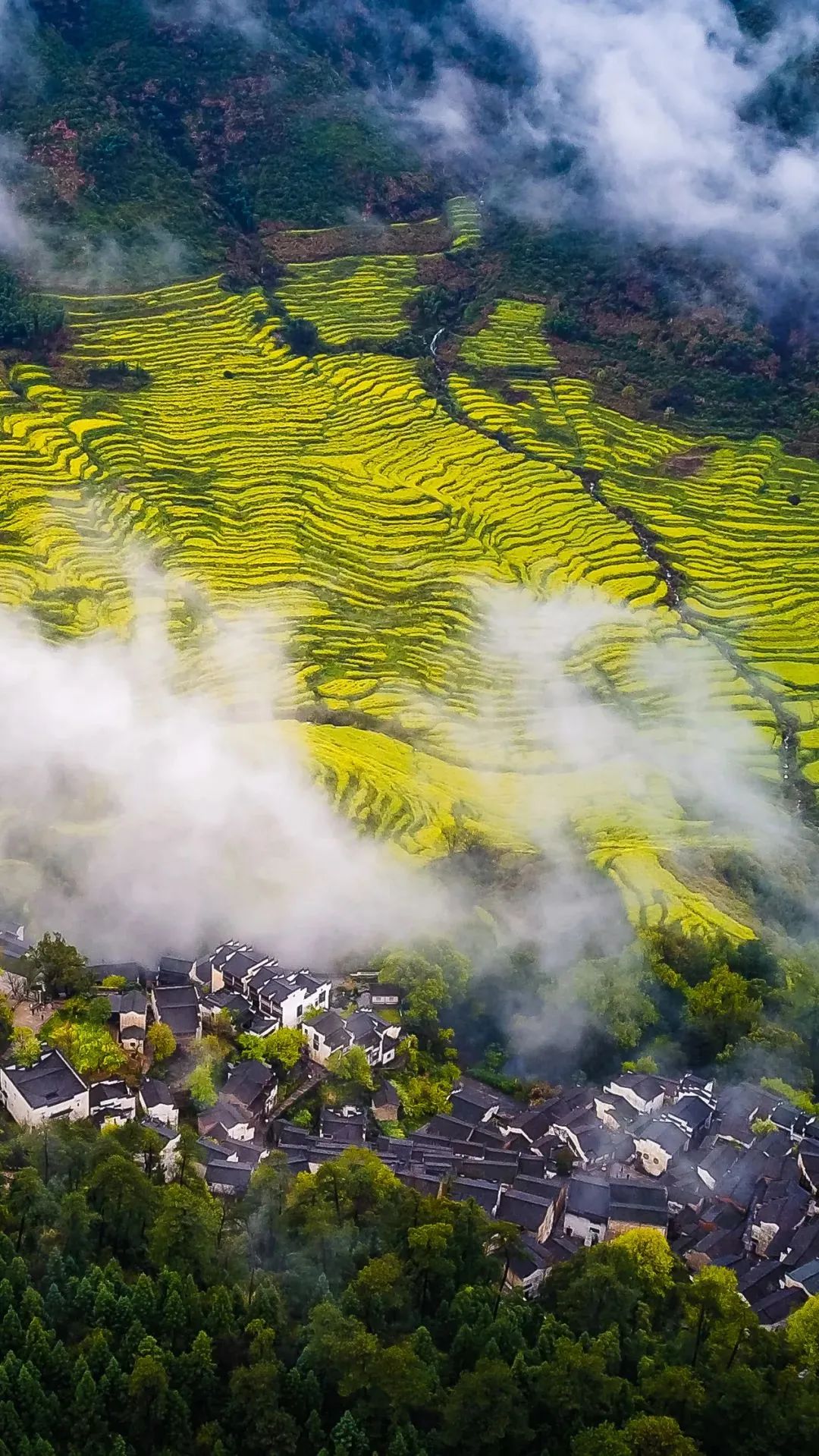 江西小巷深处的味觉盛宴