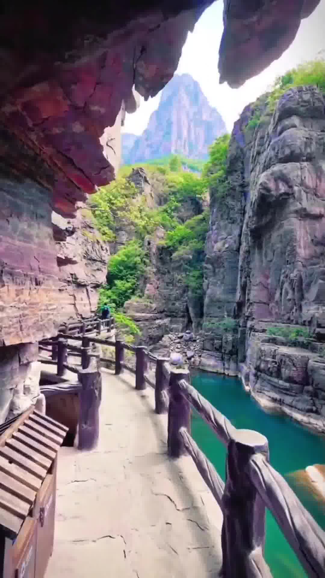 河南，古韵今风，商机无限——中原大地的独特魅力与商业潜力探寻