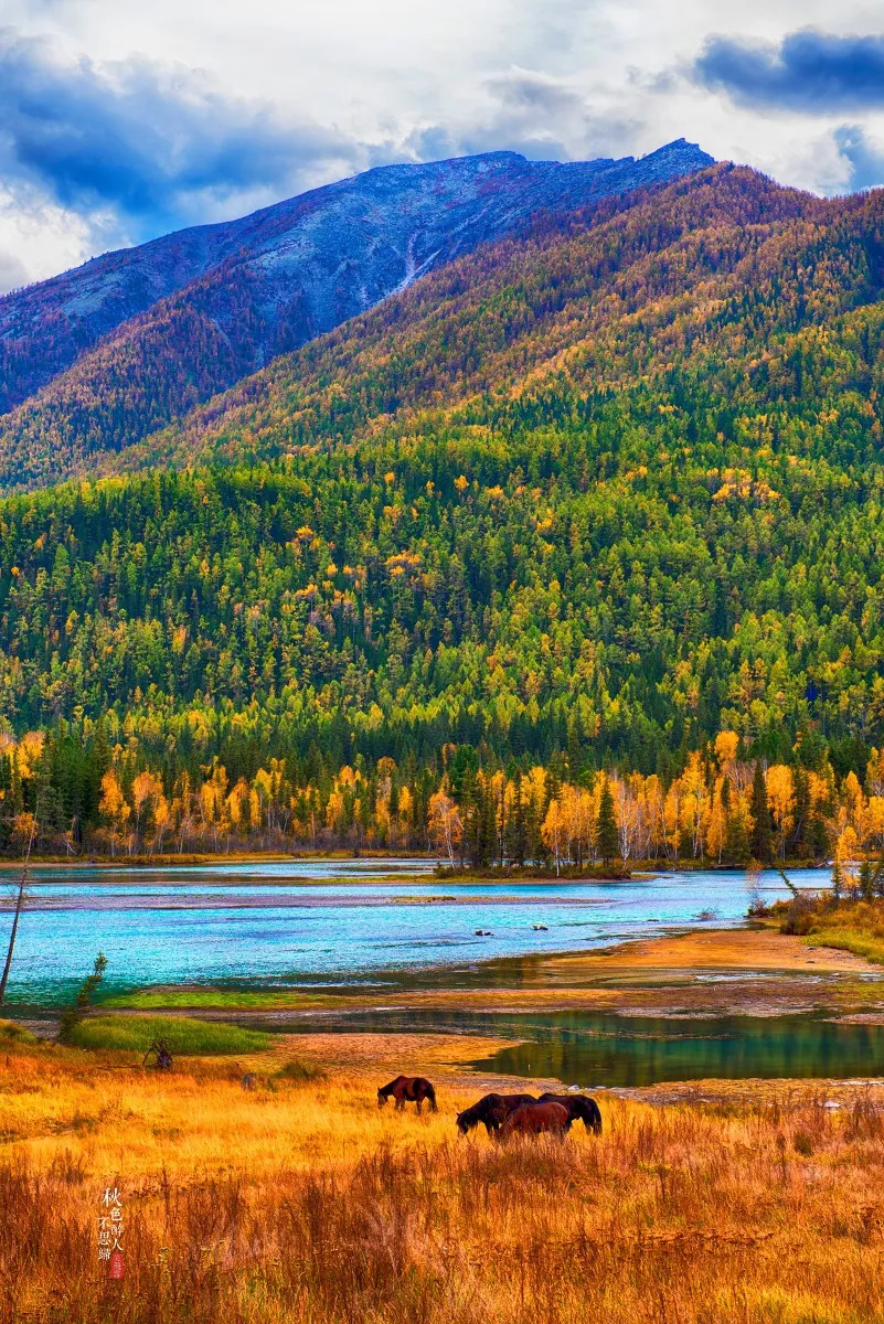 新疆,美丽与魅力并存的西域明珠